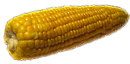 milhòc